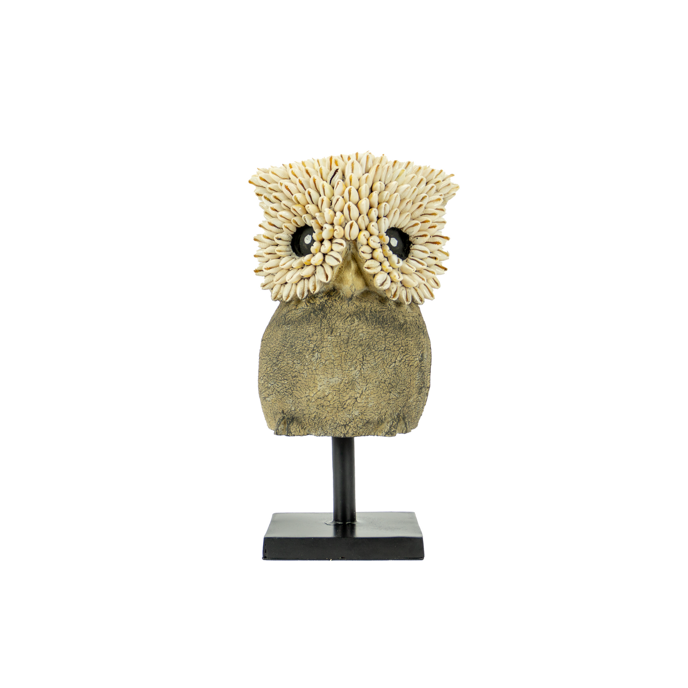 Cowrie Shell Owl of Lombok