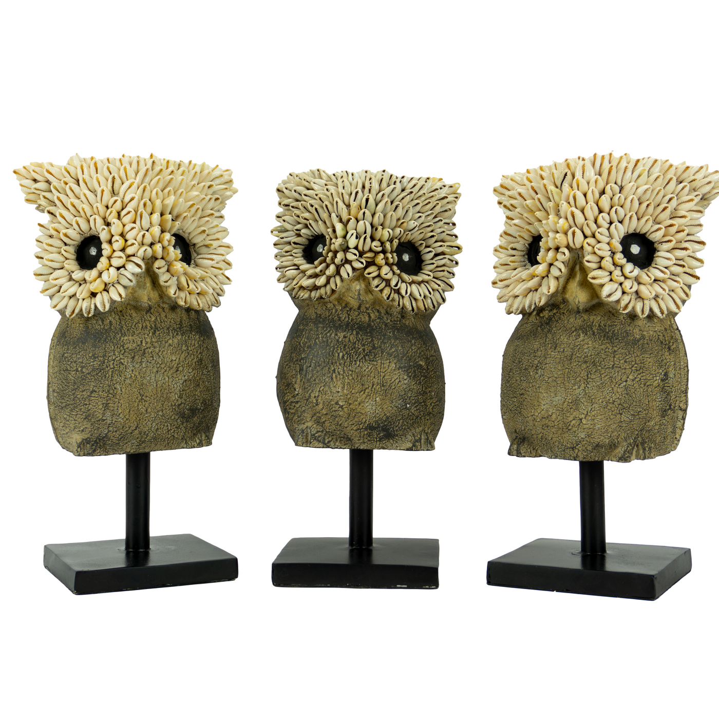 Cowrie Shell Owl of Lombok